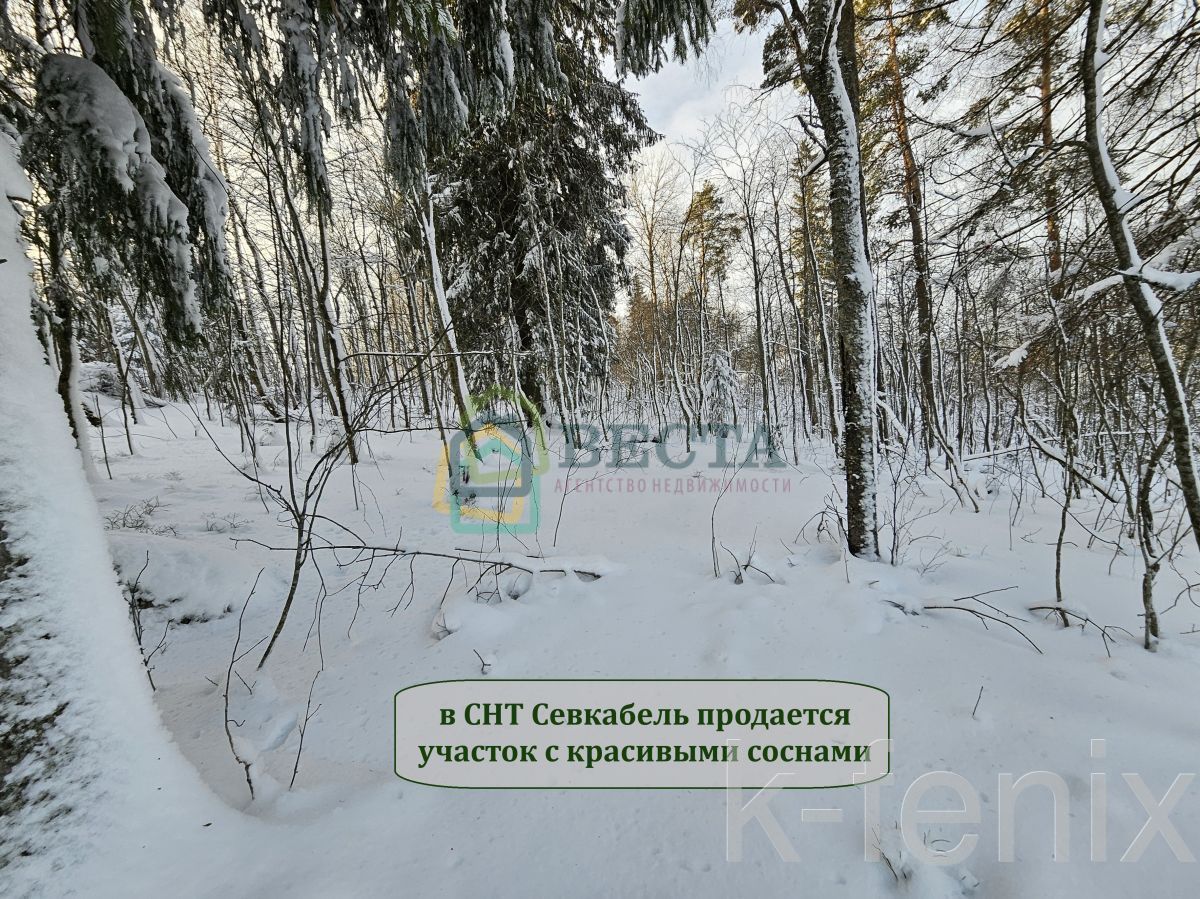 участок 10 сот